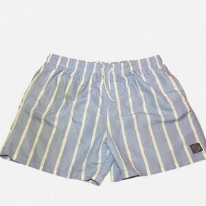 Men's Blue Striped Swim Shorts